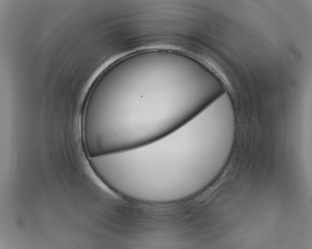 X0000111591092200907231209