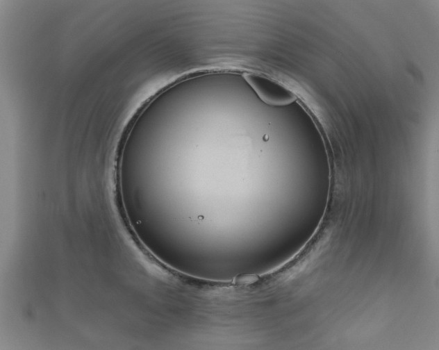 X0000111591093200907231209