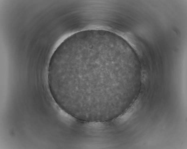 X0000111591094200907231209