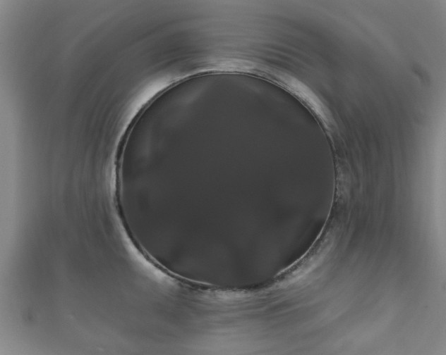 X0000111591095200907231209