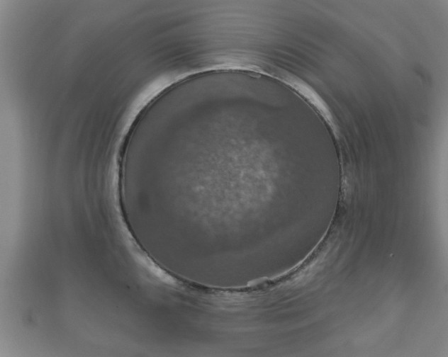 X0000111591096200907231209