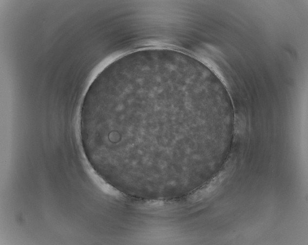 X0000111591098200907231209