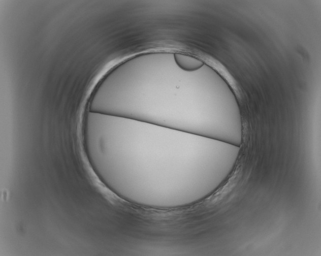 X0000111591099200907231209