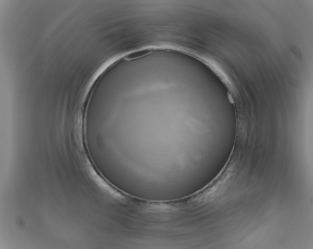 X0000111591100200907231209