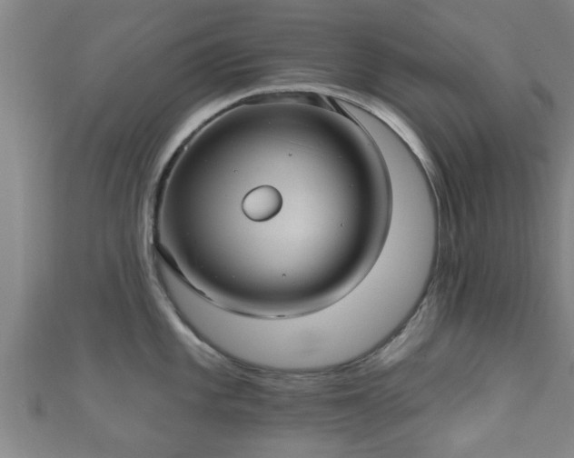 X0000111591101200907231209