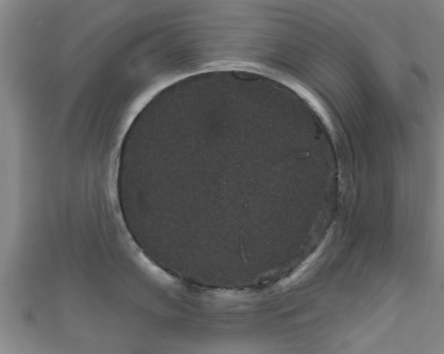 X0000111591102200907231209