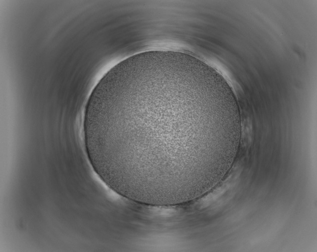 X0000111591103200907231209