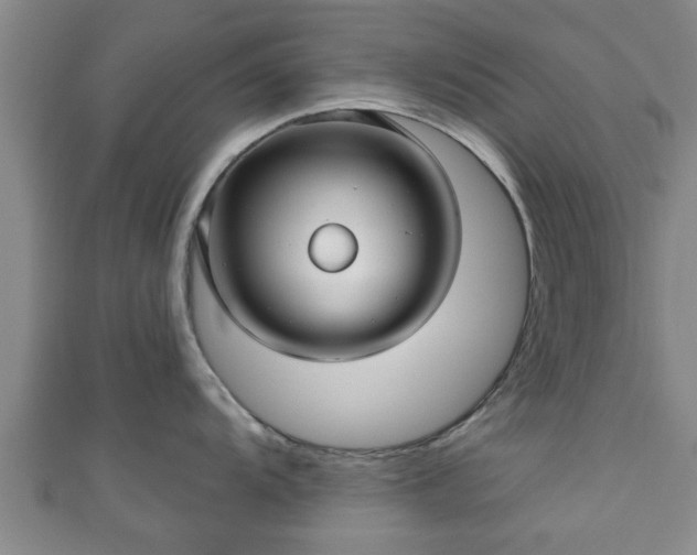 X0000111591104200907231209