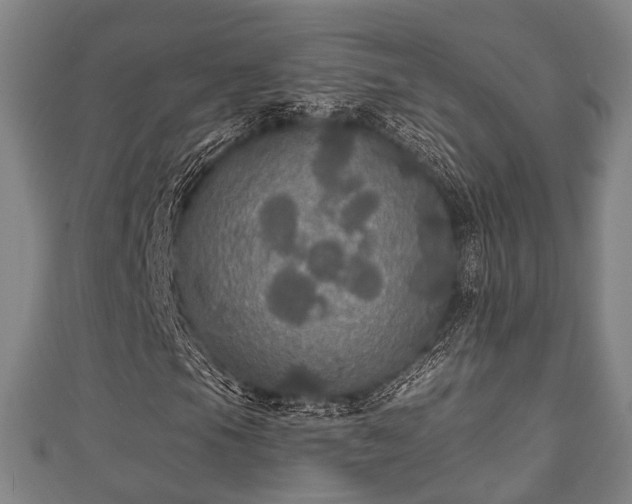 X0000111591105200907231208