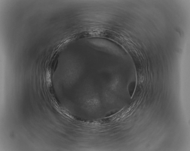 X0000111591106200907231208