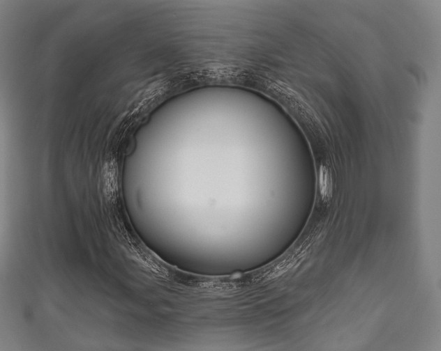 X0000111591107200907231208