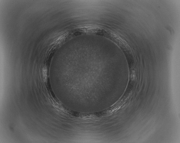 X0000111591108200907231208