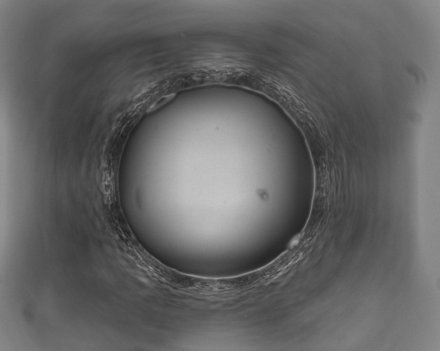 X0000111591109200907231208