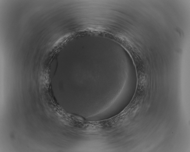 X0000111591110200907231209