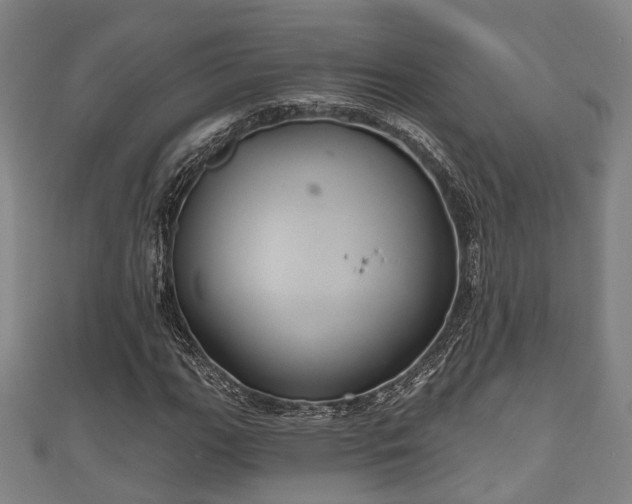 X0000111591111200907231209