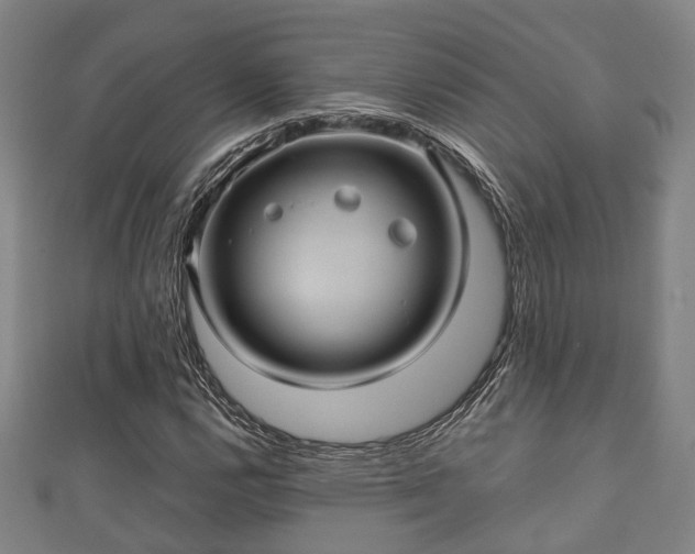 X0000111591112200907231209