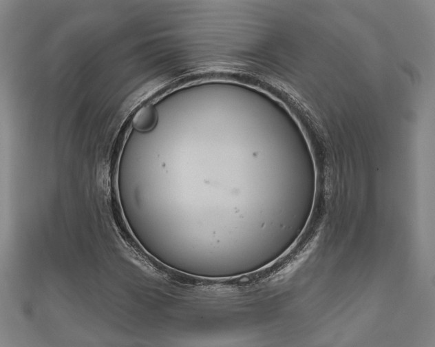 X0000111591113200907231209