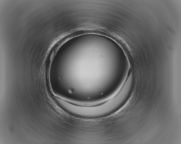 X0000111591114200907231209