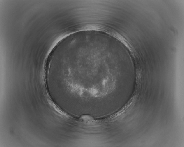 X0000111591116200907231209