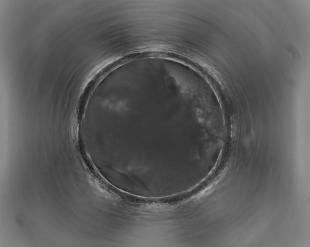 X0000111591117200907231209