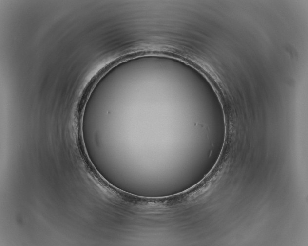 X0000111591119200907231209