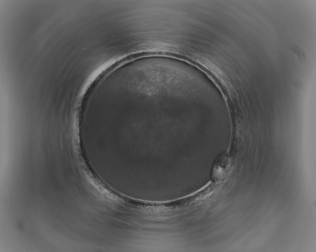 X0000111591120200907231209