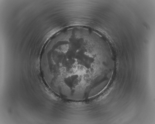 X0000111591121200907231209