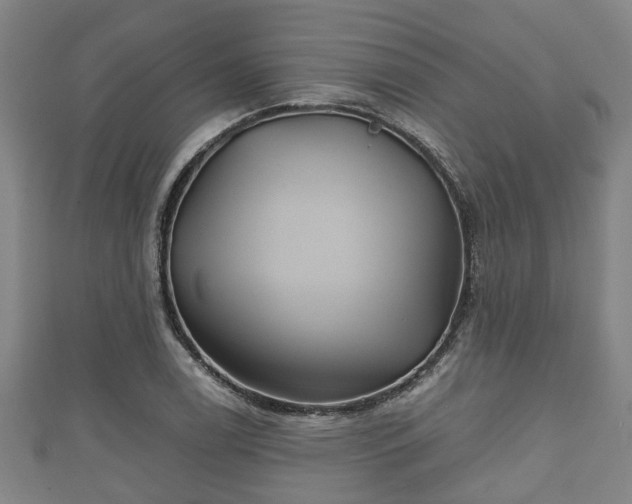 X0000111591122200907231209