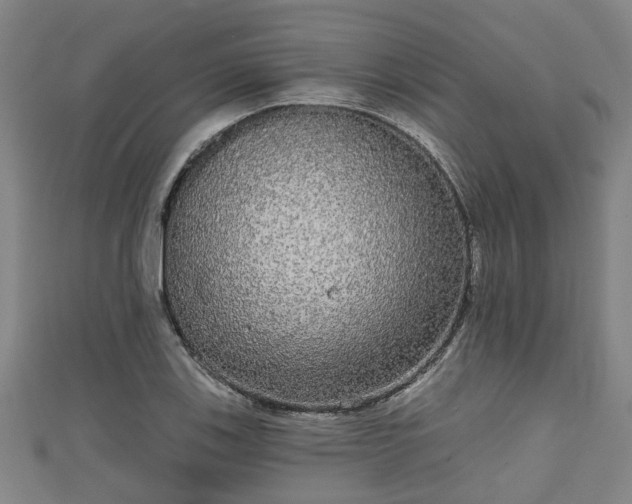 X0000111591123200907231209