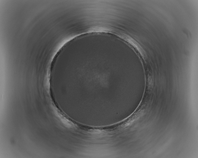 X0000111591124200907231209