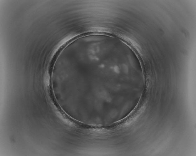 X0000111591125200907231209