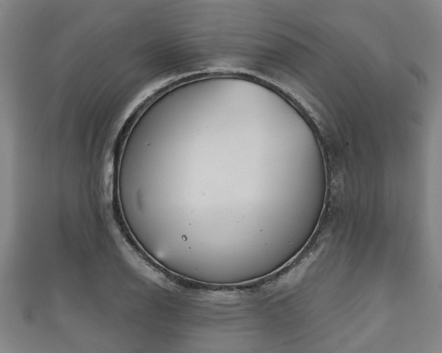 X0000111591126200907231209