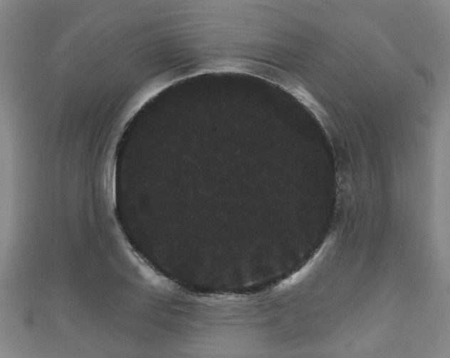 X0000111591127200907231209