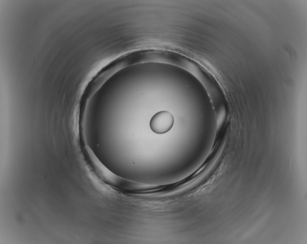 X0000111591128200907231209