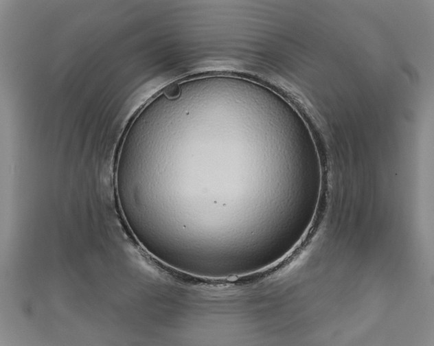 X0000111591129200907231209