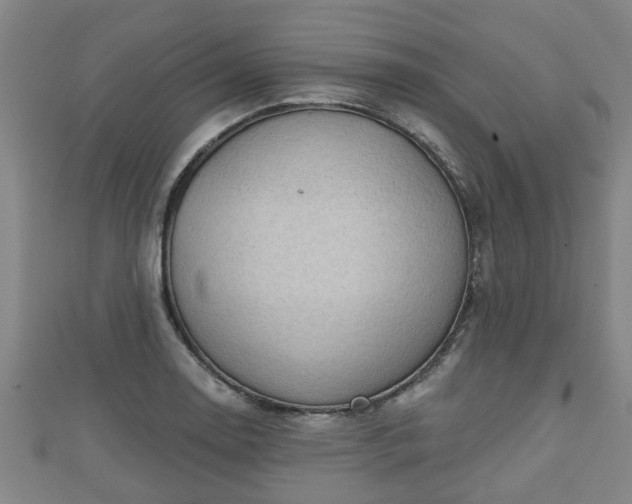 X0000111591130200907231209