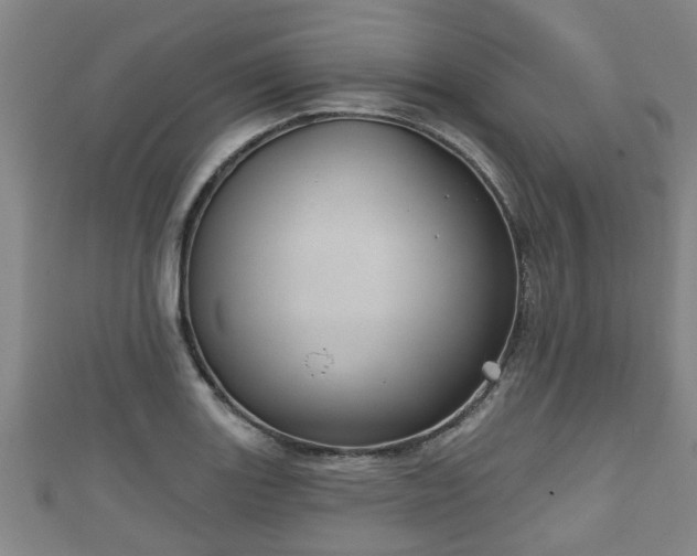 X0000111591131200907231209