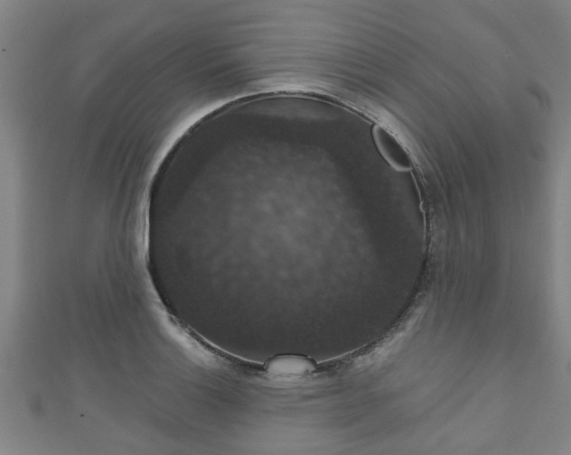 X0000111591132200907231209