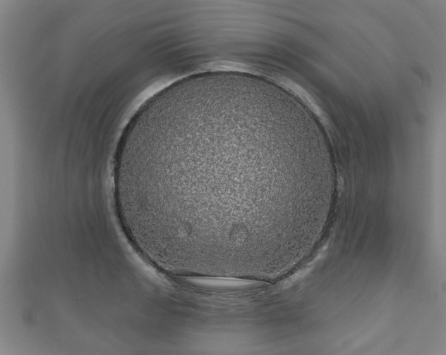 X0000111591133200907231209