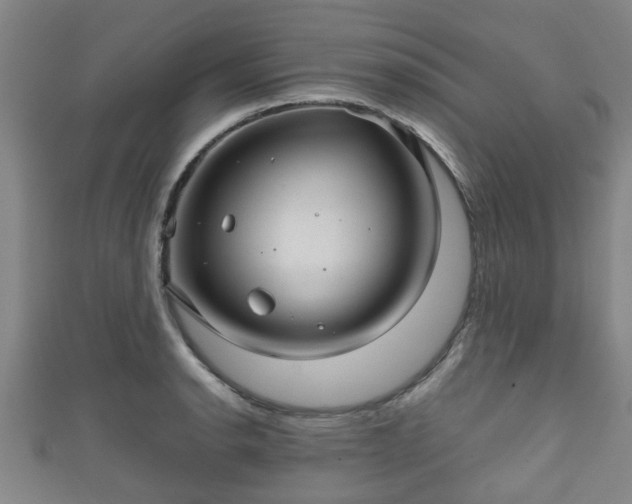 X0000111591134200907231209