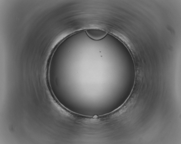 X0000111591135200907231209