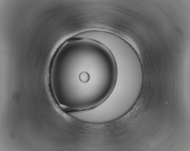 X0000111591136200907231209