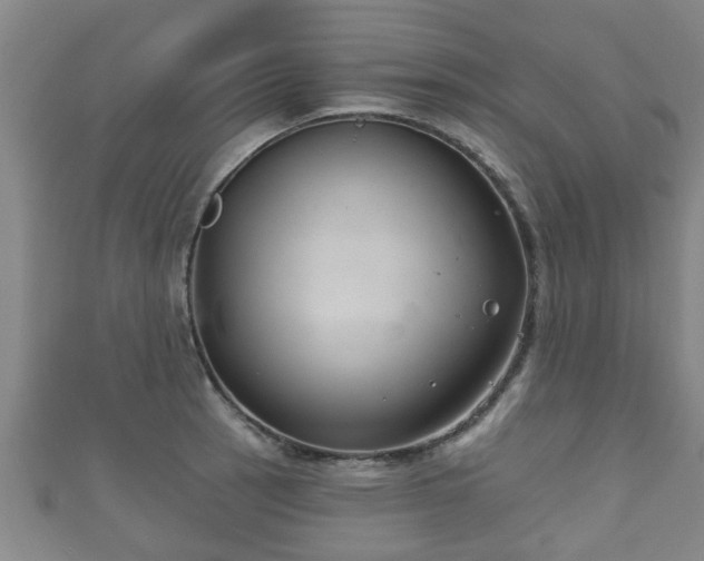 X0000111591137200907231209