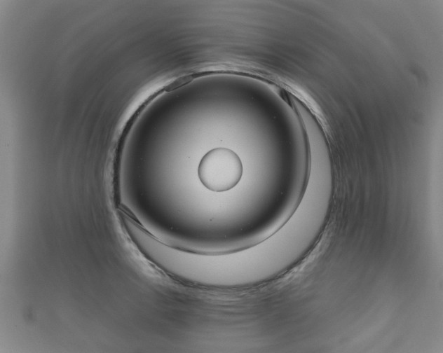 X0000111591138200907231209