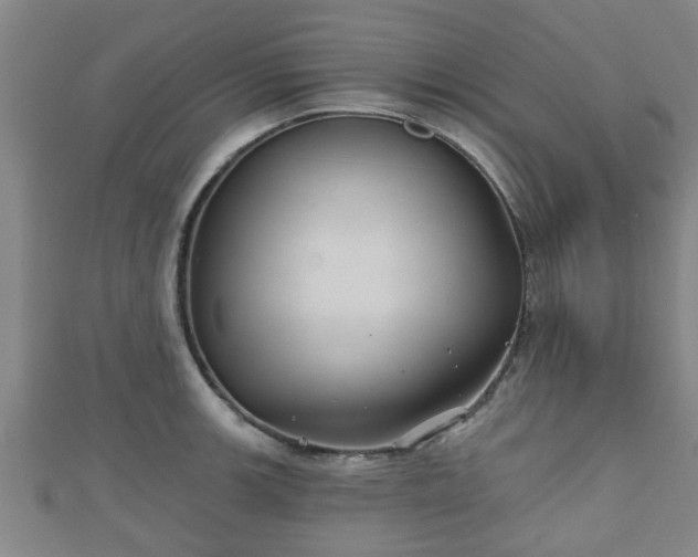 X0000111591139200907231209