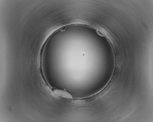 X0000111591140200907231209