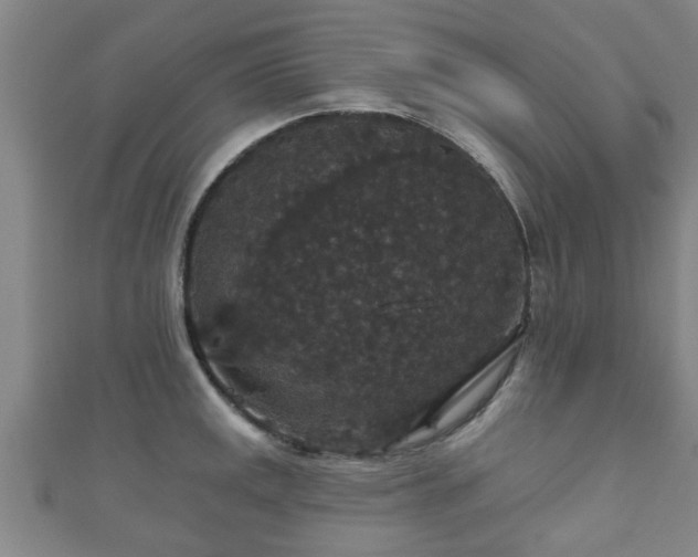 X0000111591141200907231209