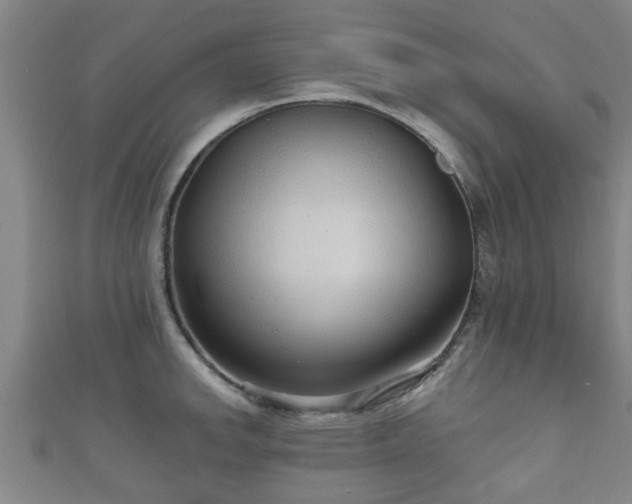 X0000111591142200907231209