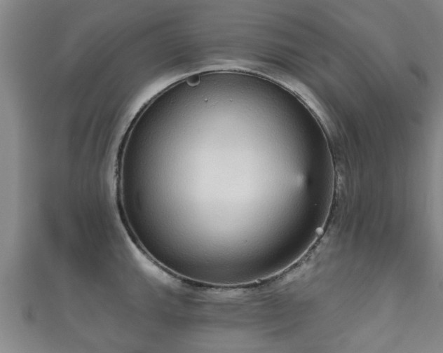 X0000111591143200907231209