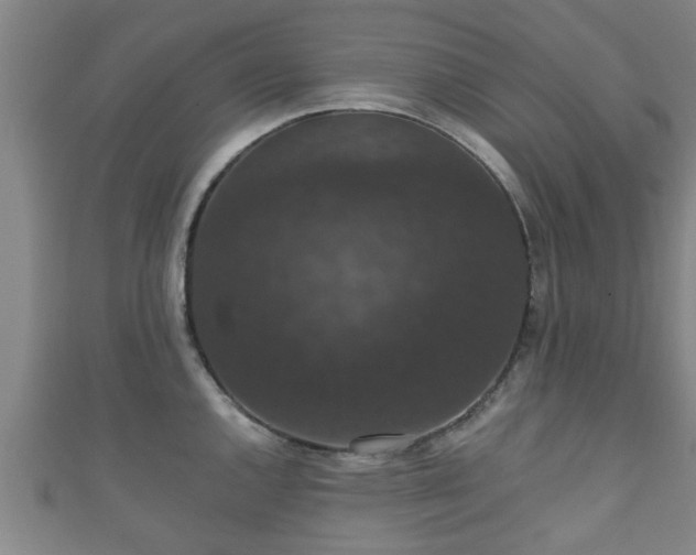 X0000111591144200907231209